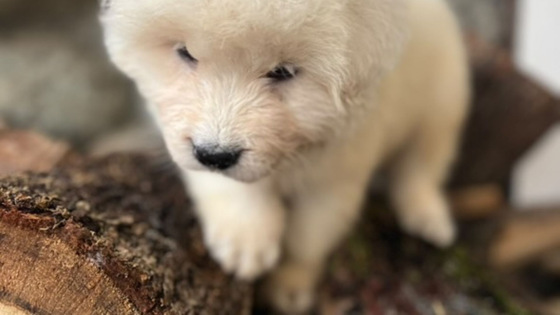 [Translate to English:] 