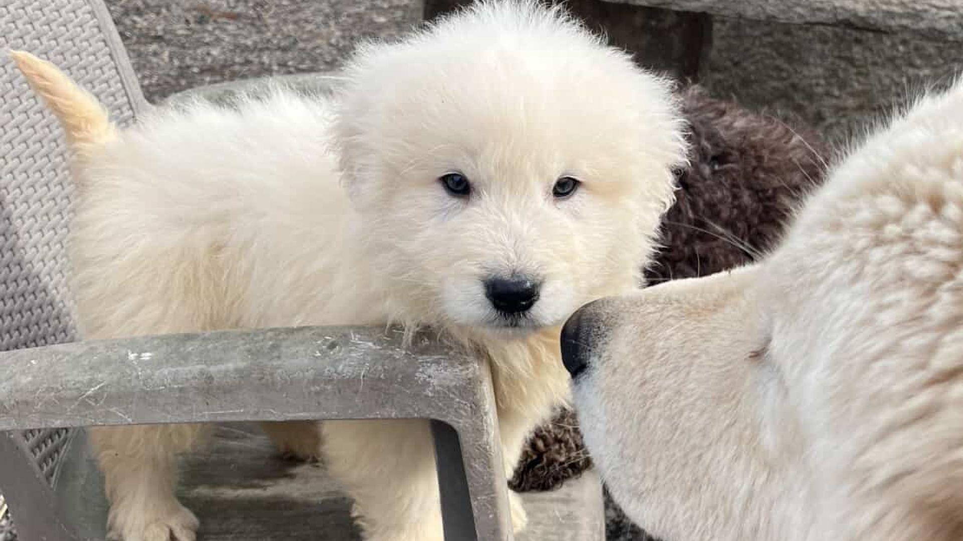 [Translate to English:] 