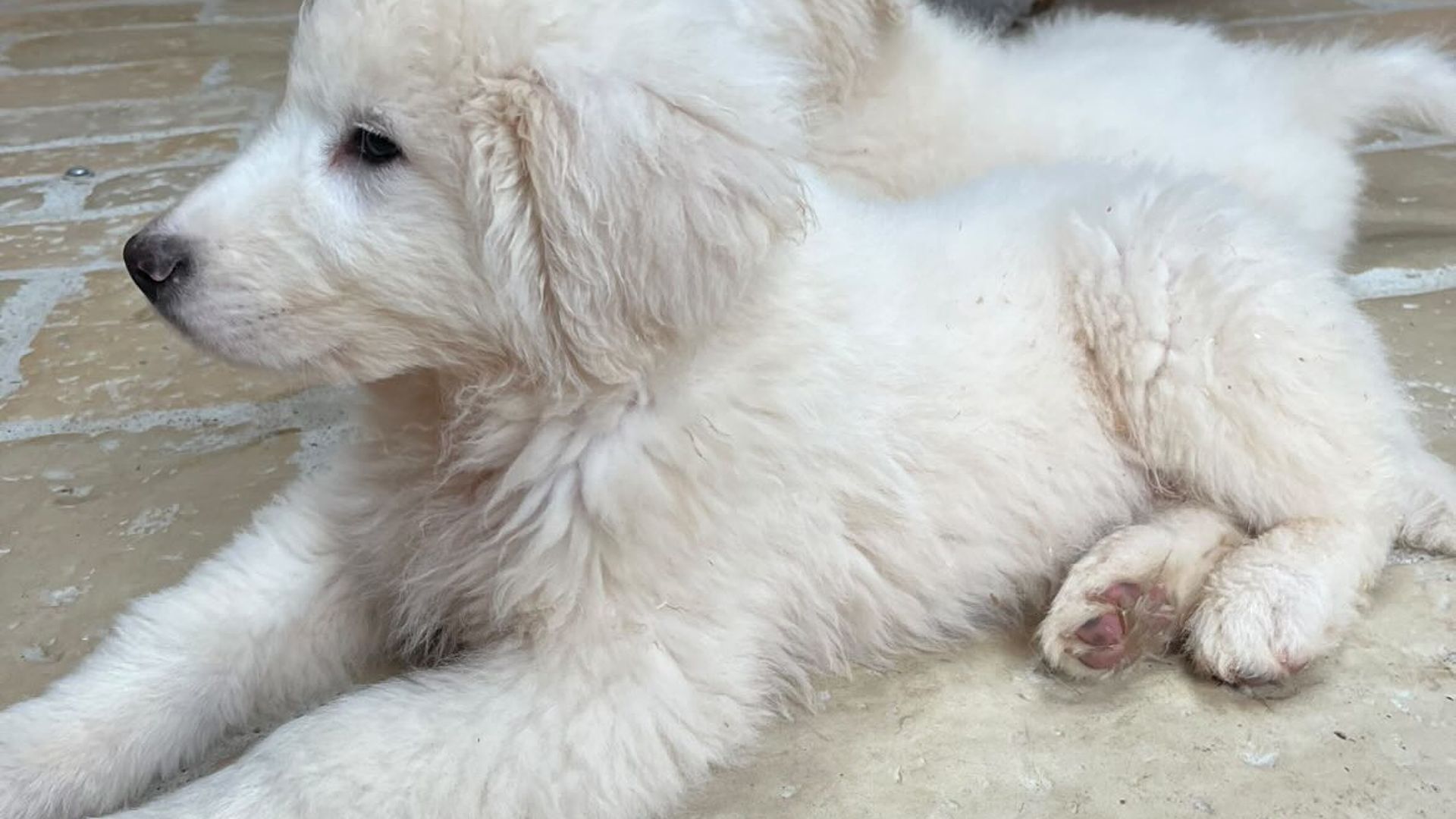 [Translate to English:] 