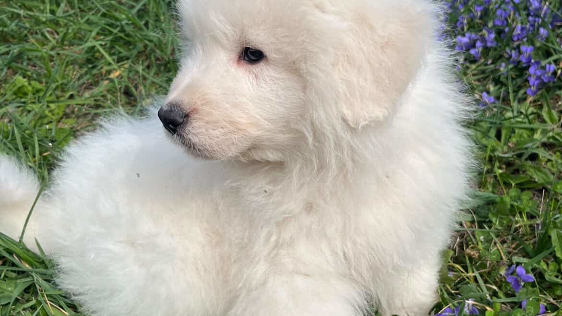 [Translate to English:] 