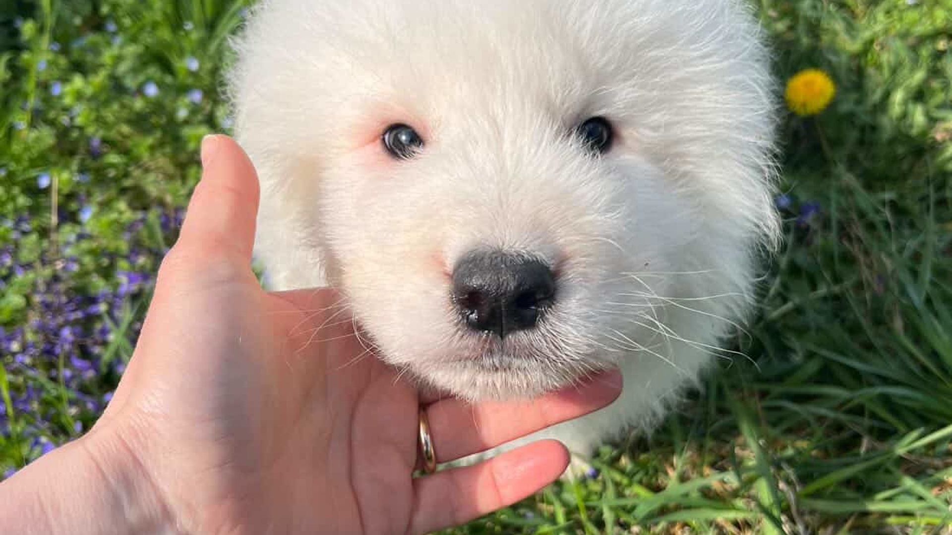 [Translate to English:] 