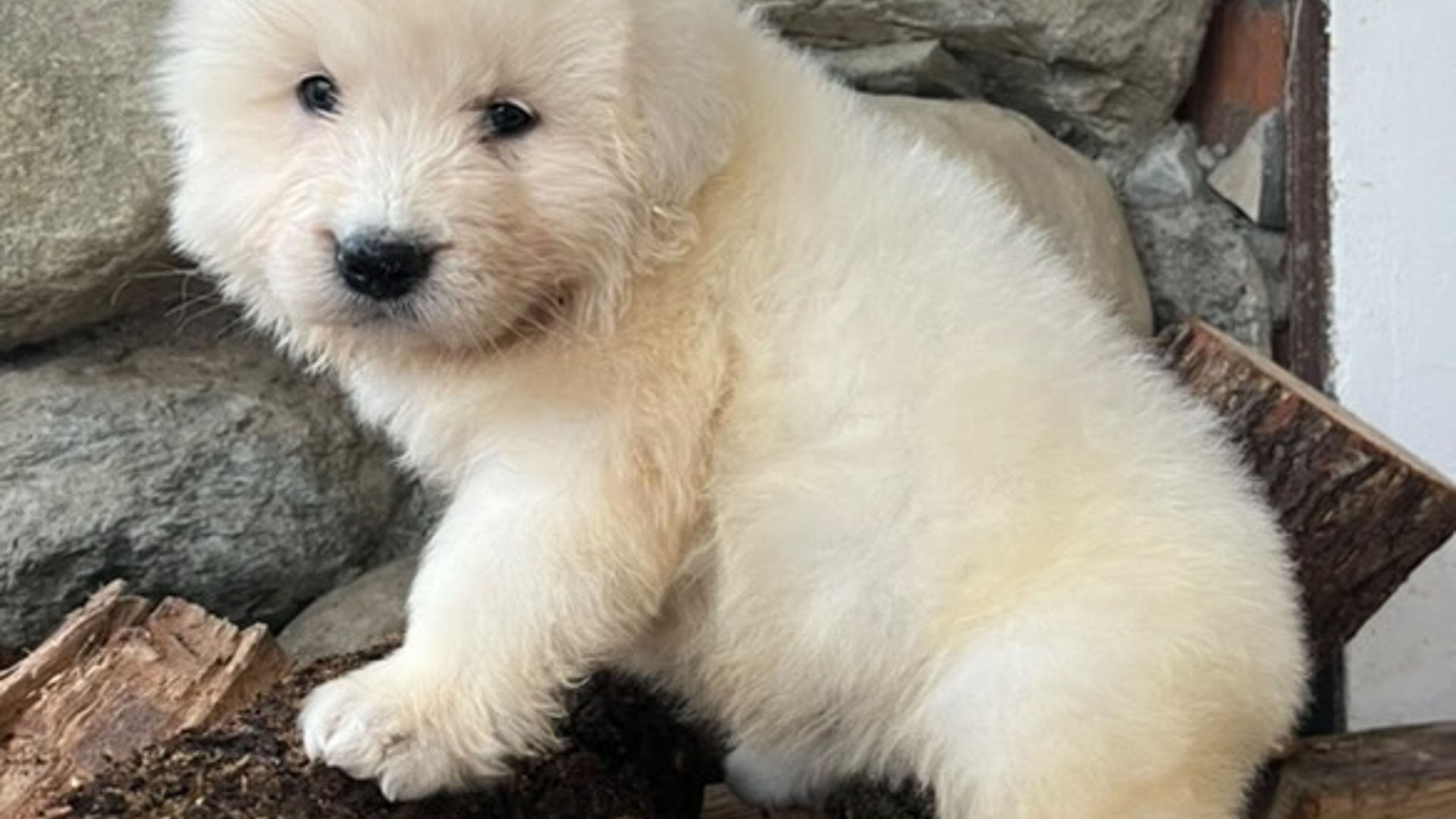 [Translate to English:] 