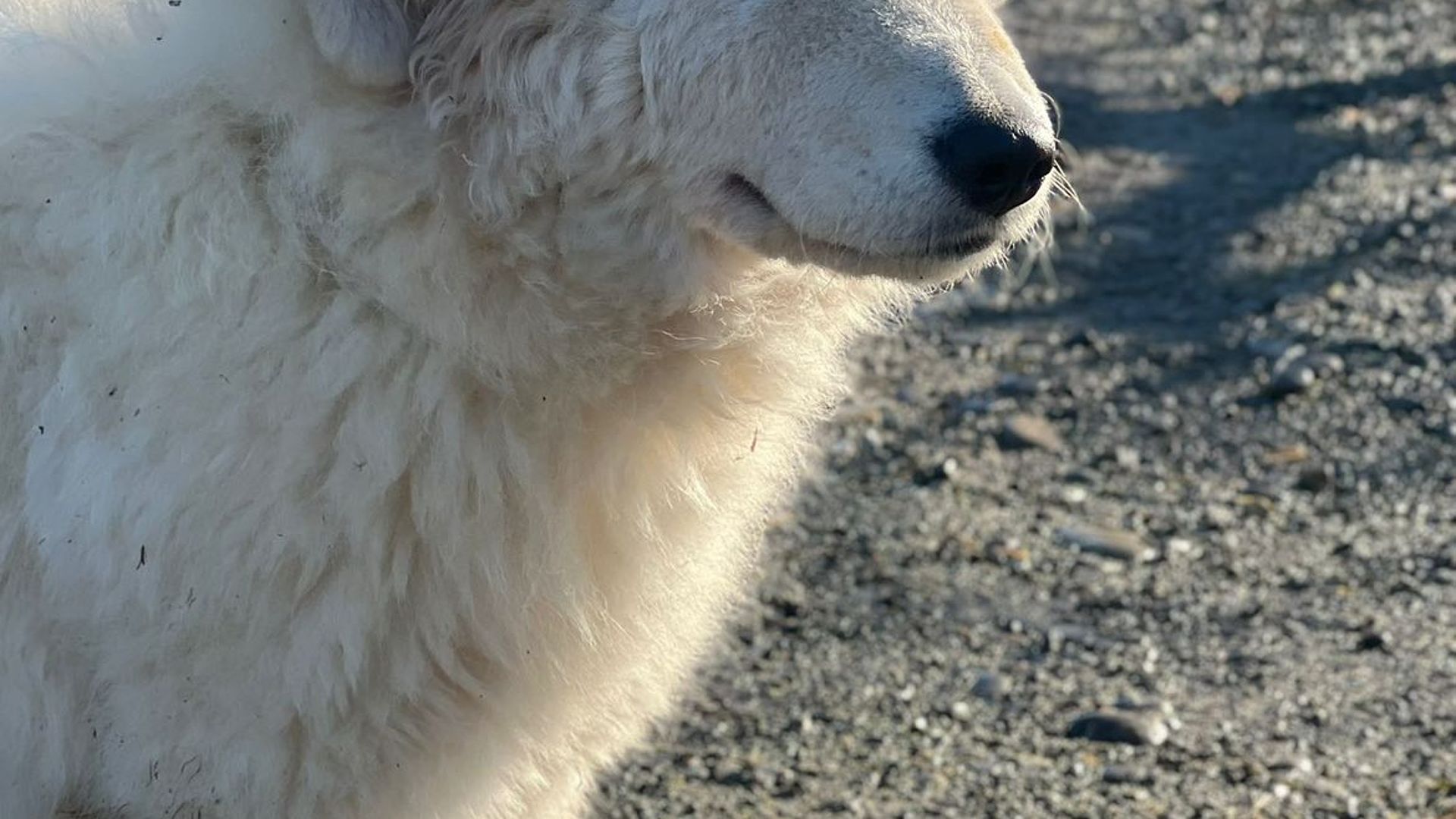 [Translate to English:] 