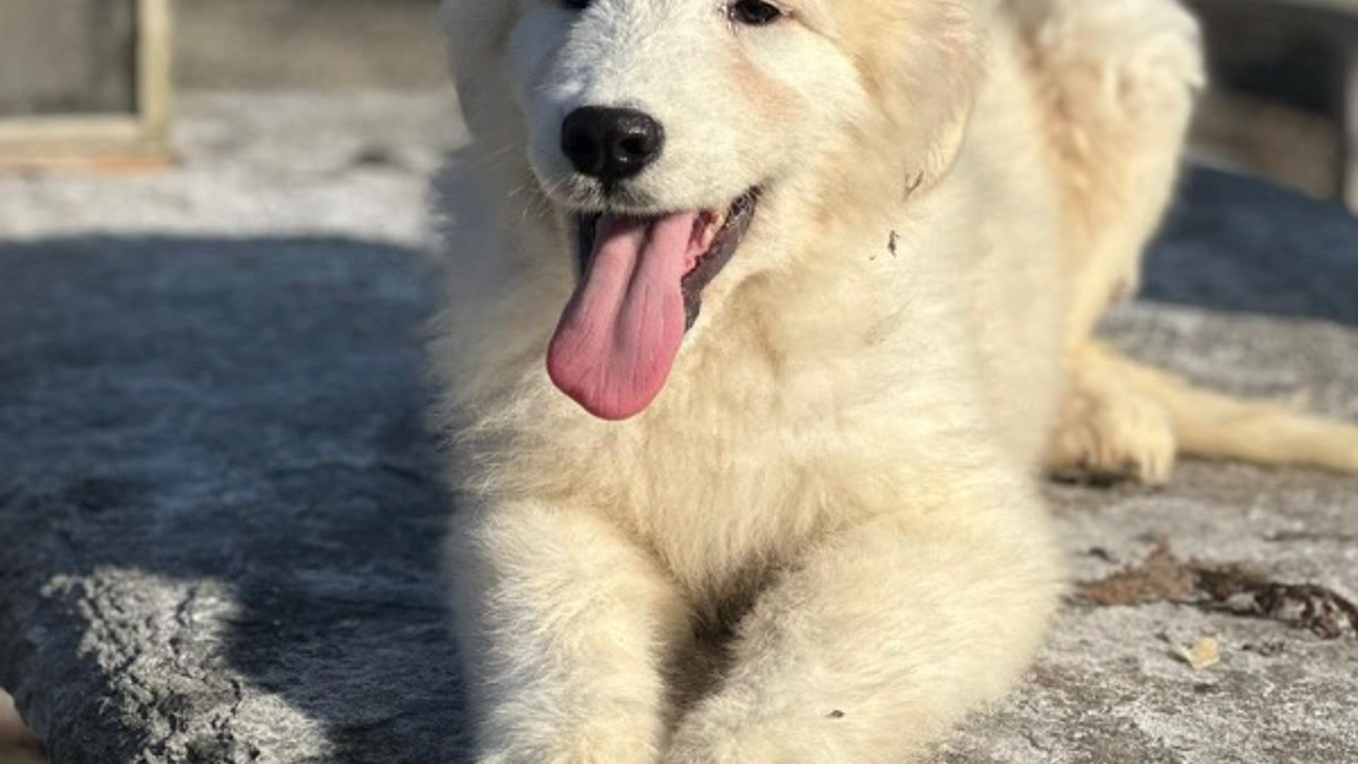 [Translate to English:] 