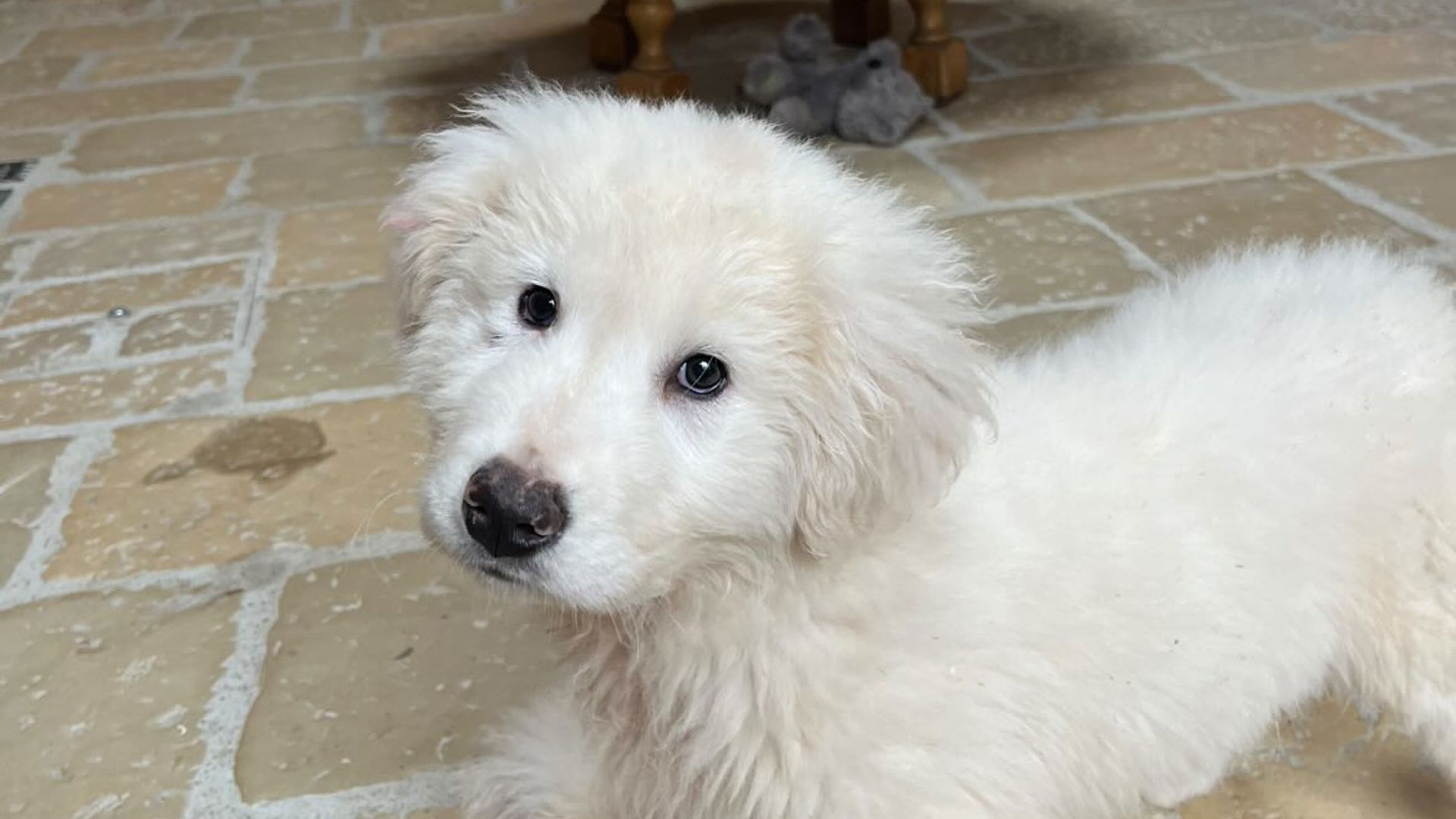 [Translate to English:] 