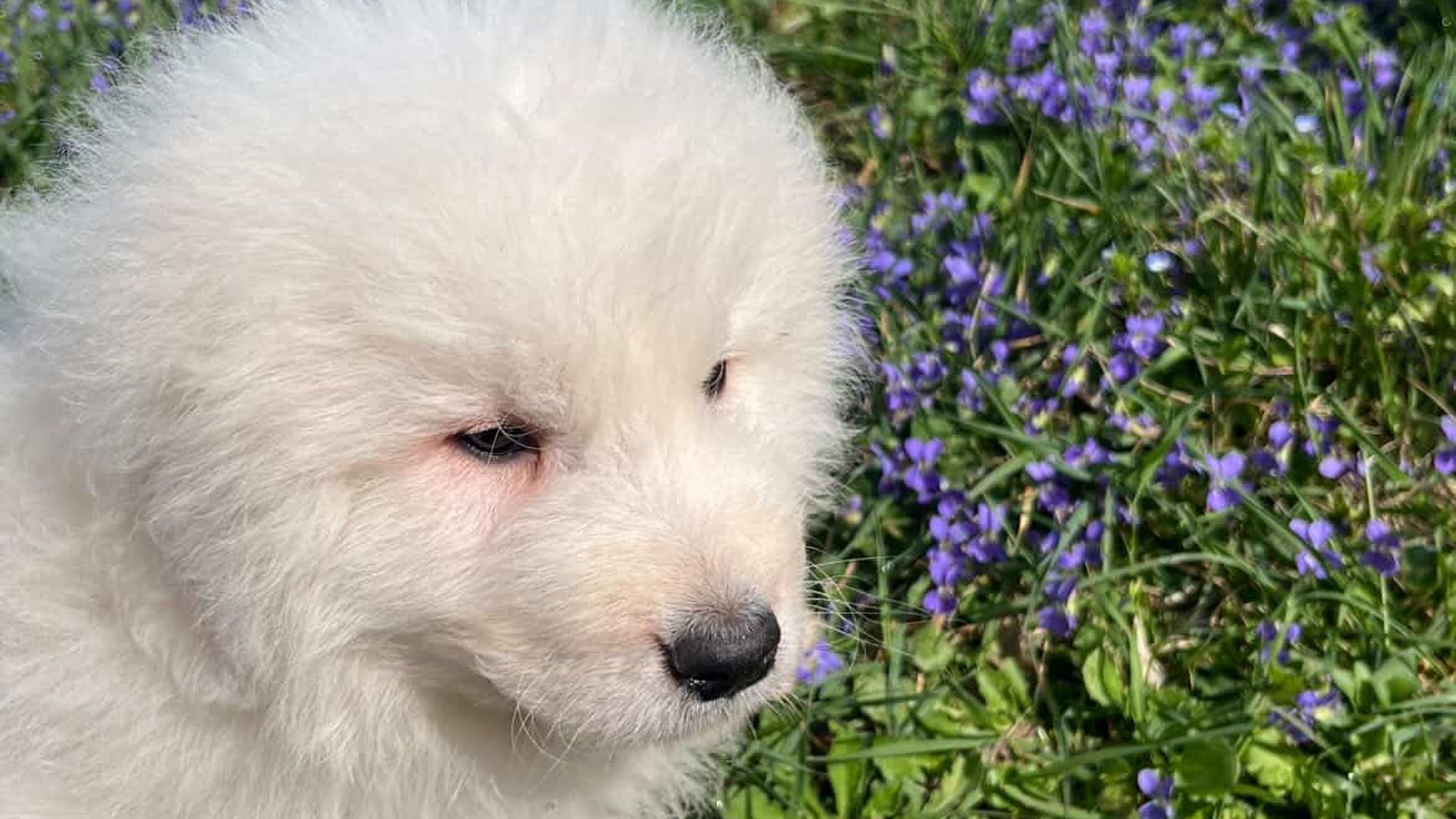 [Translate to English:] 