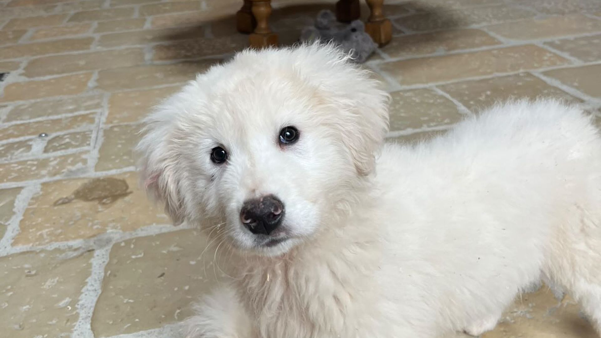 [Translate to English:] 