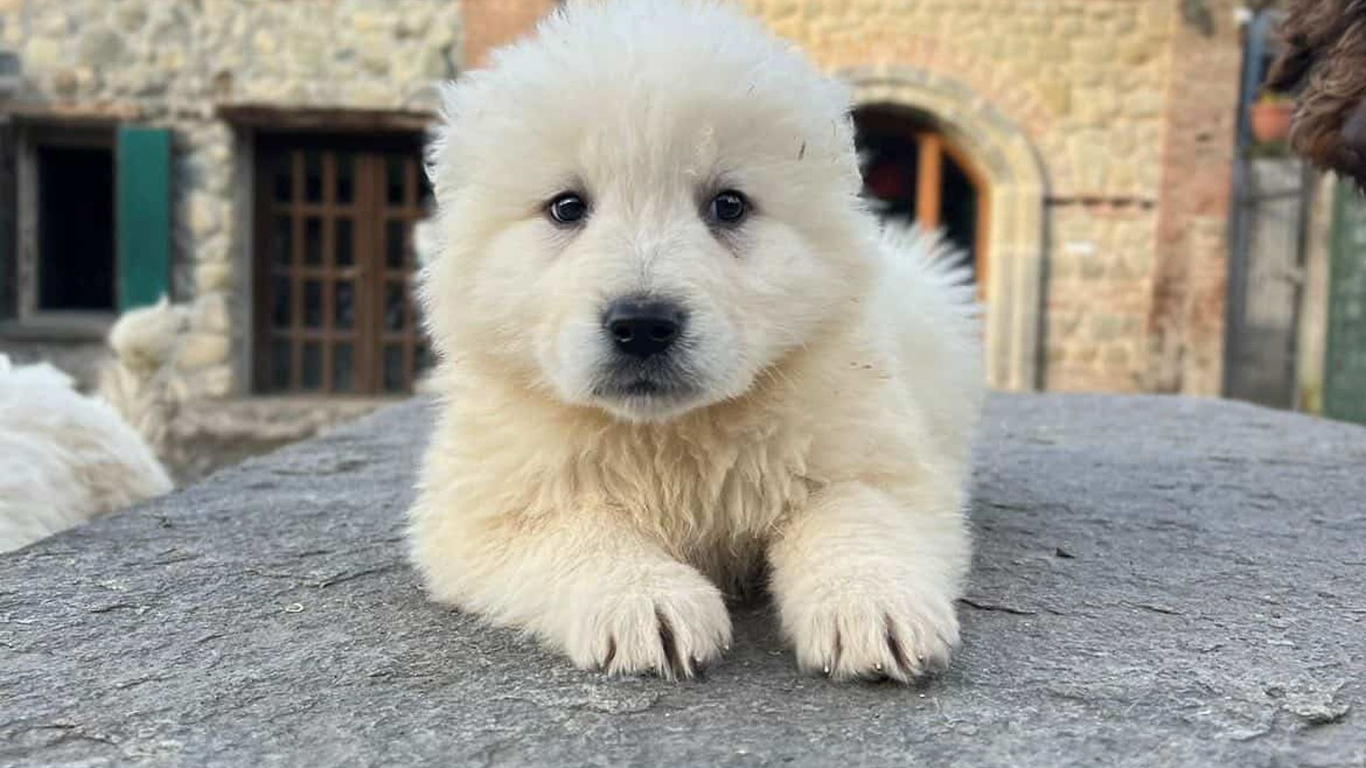 [Translate to English:] 