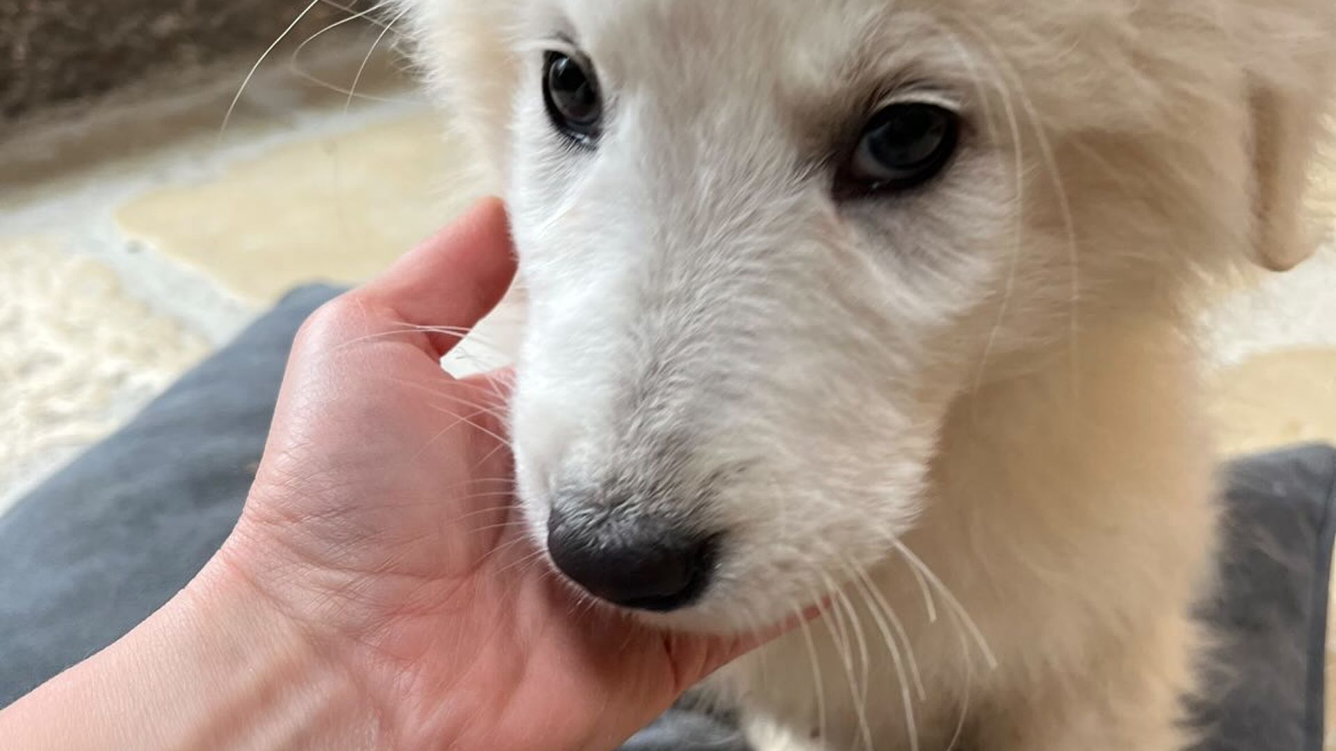 [Translate to English:] 