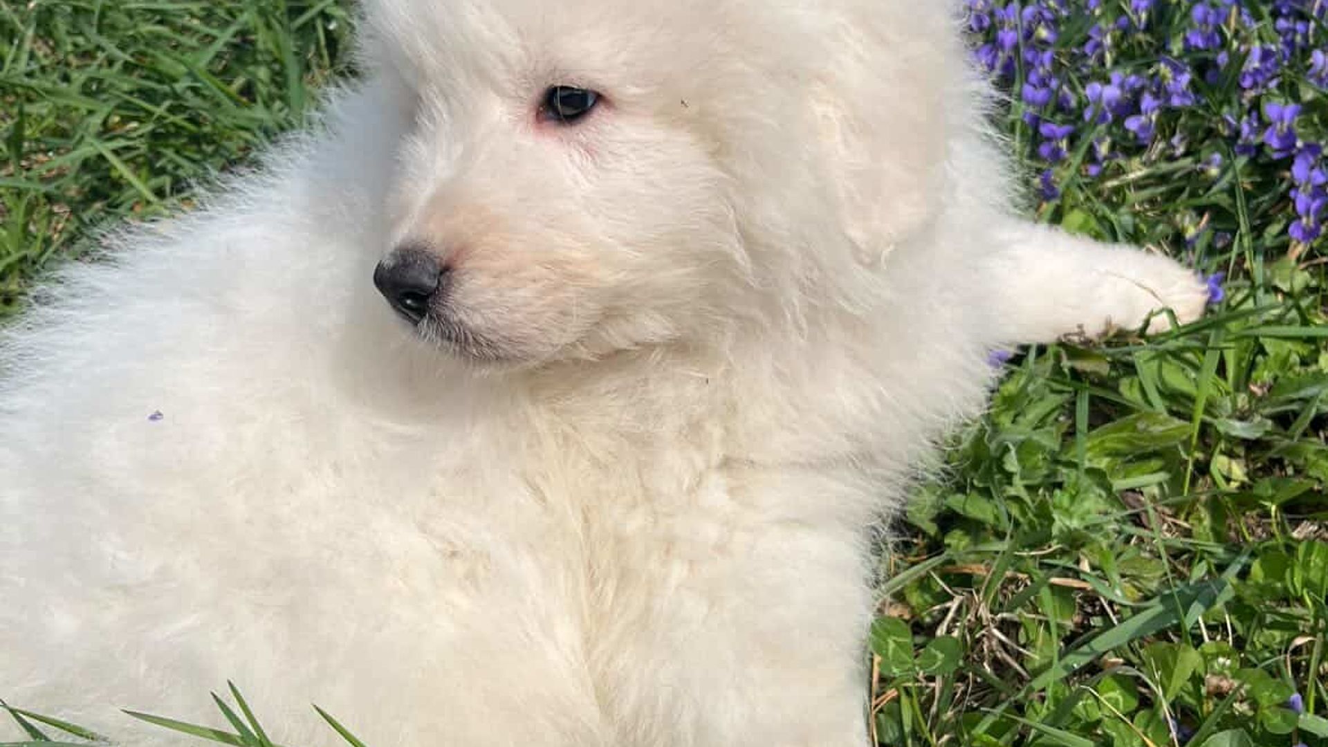 [Translate to English:] 