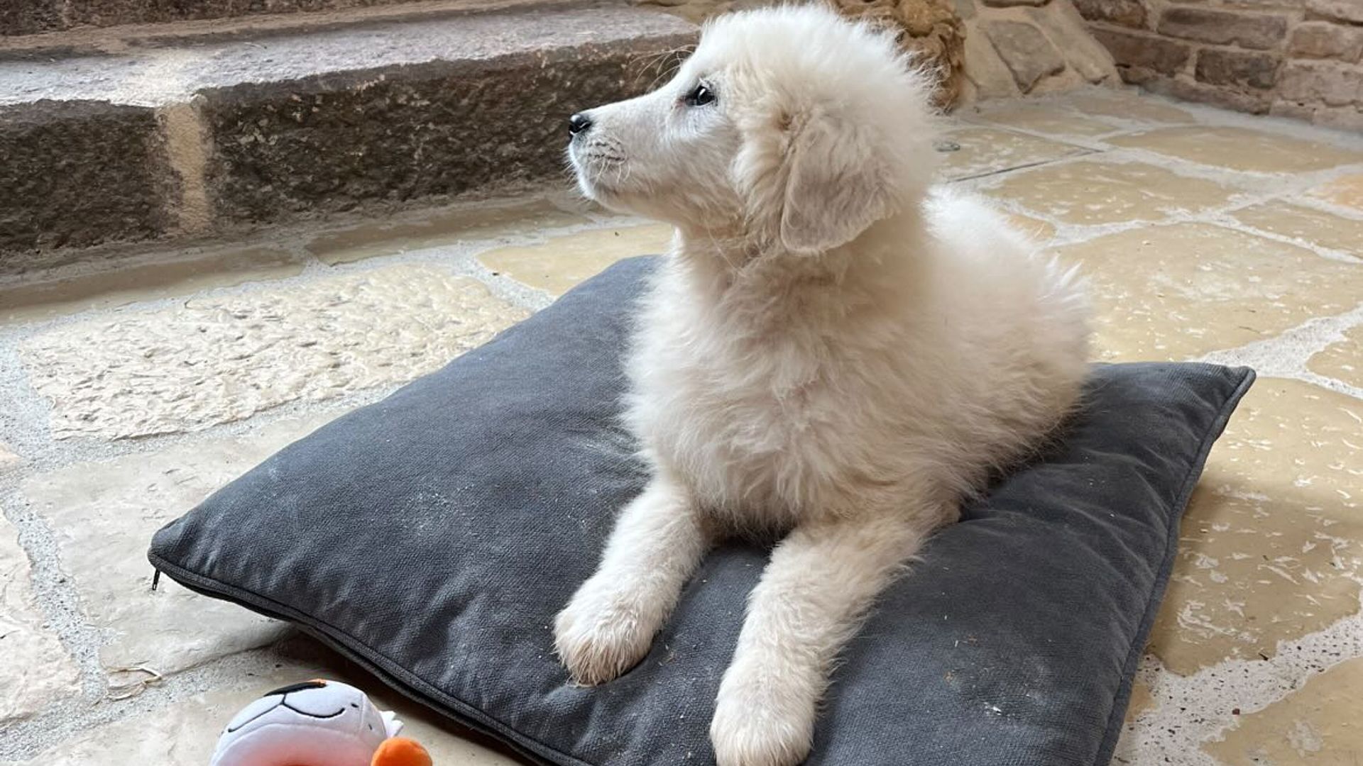 [Translate to English:] 