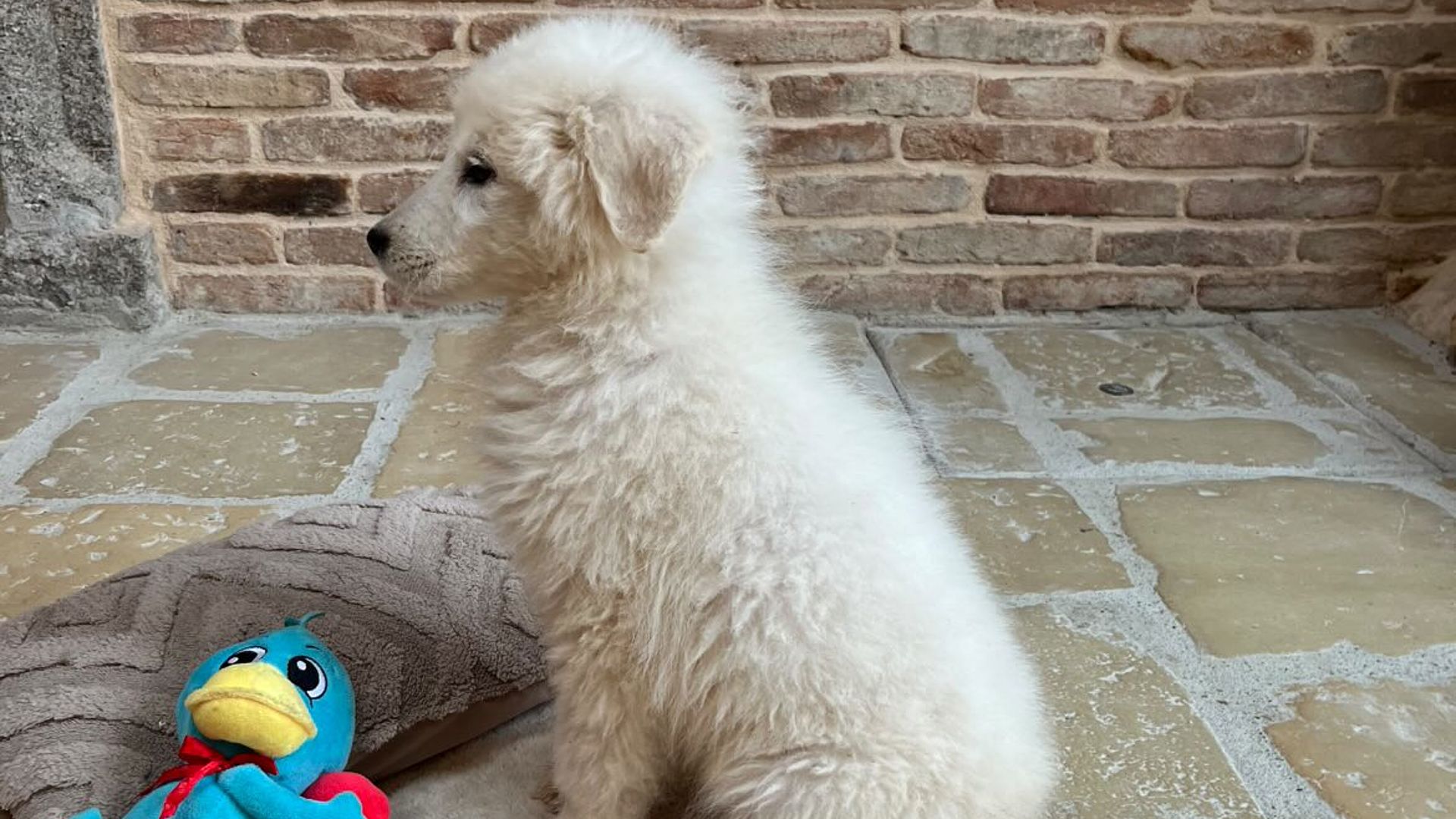 [Translate to English:] 