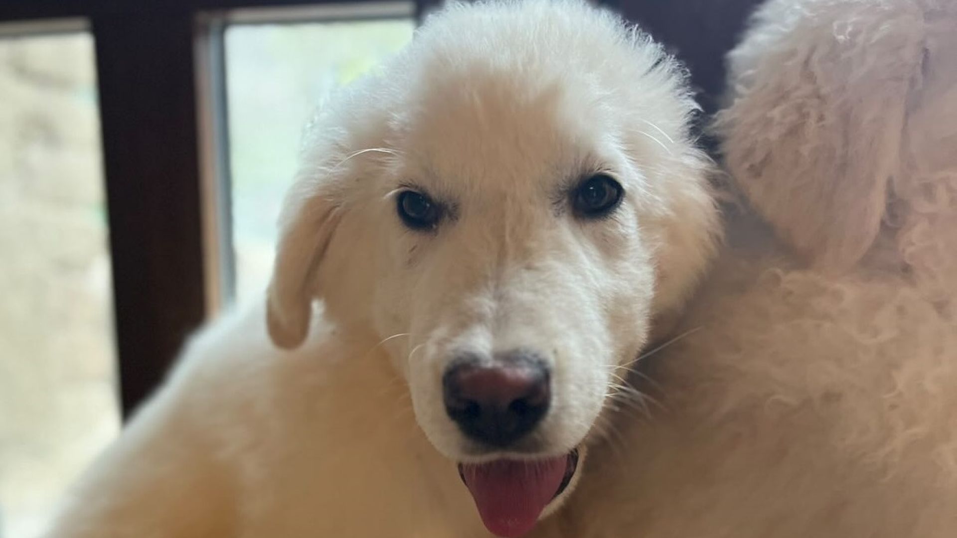 [Translate to English:] 