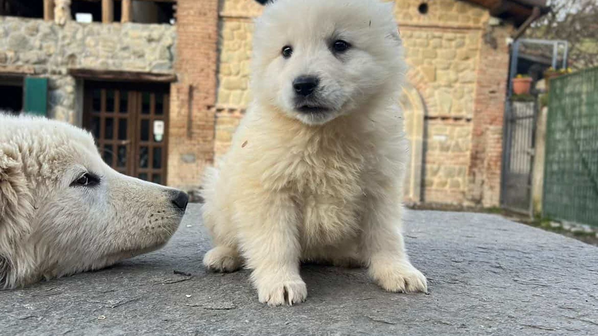 [Translate to English:] 