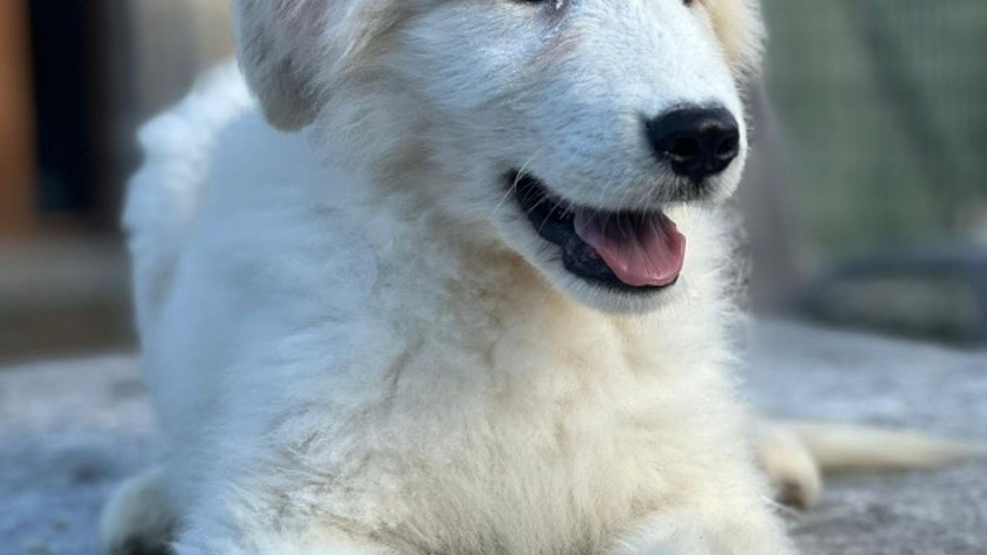 [Translate to English:] 