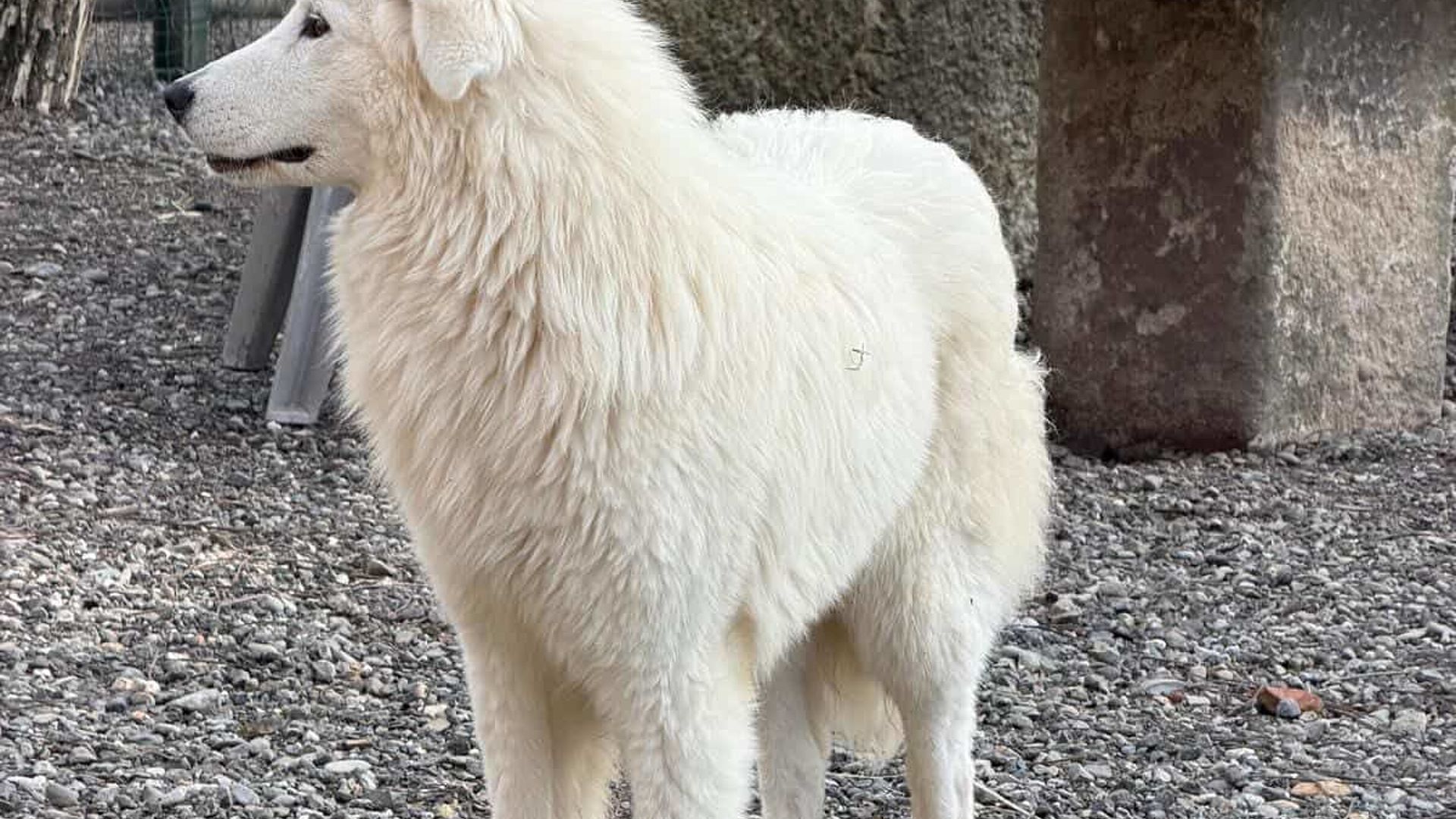 [Translate to English:] 