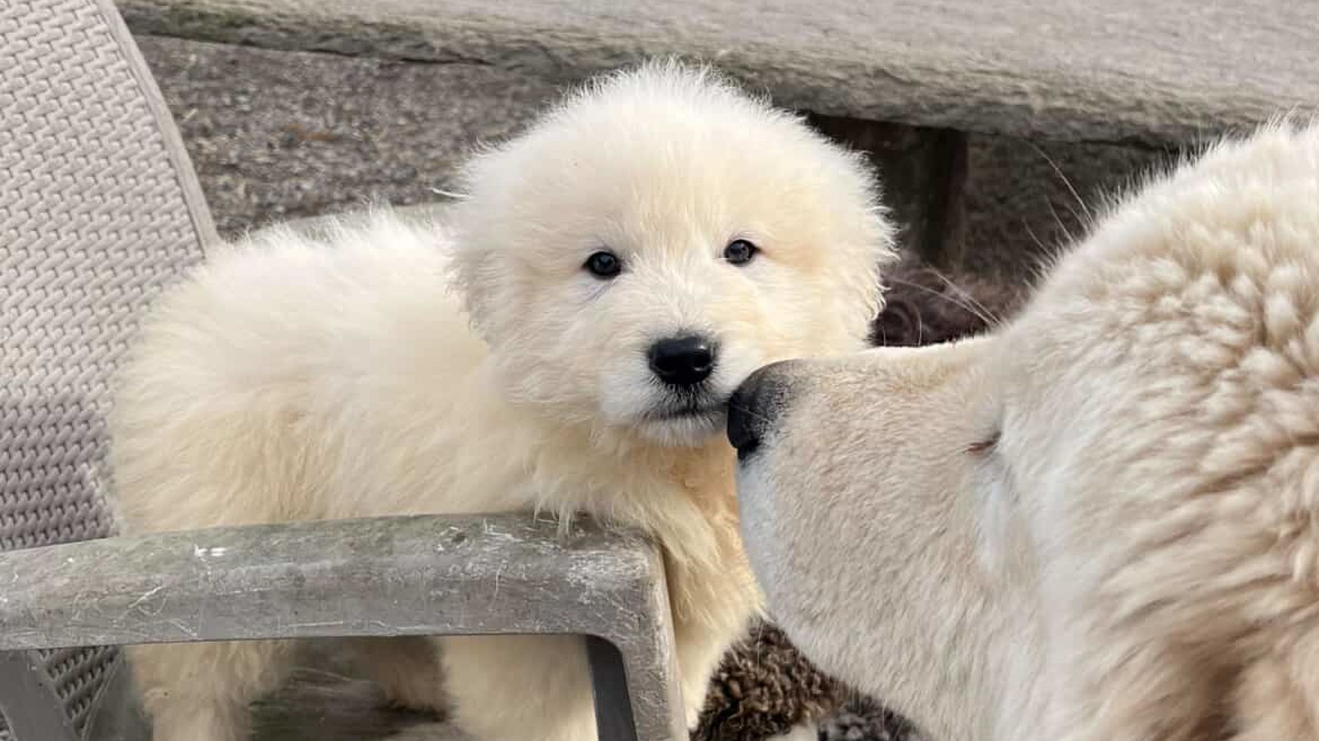 [Translate to English:] 