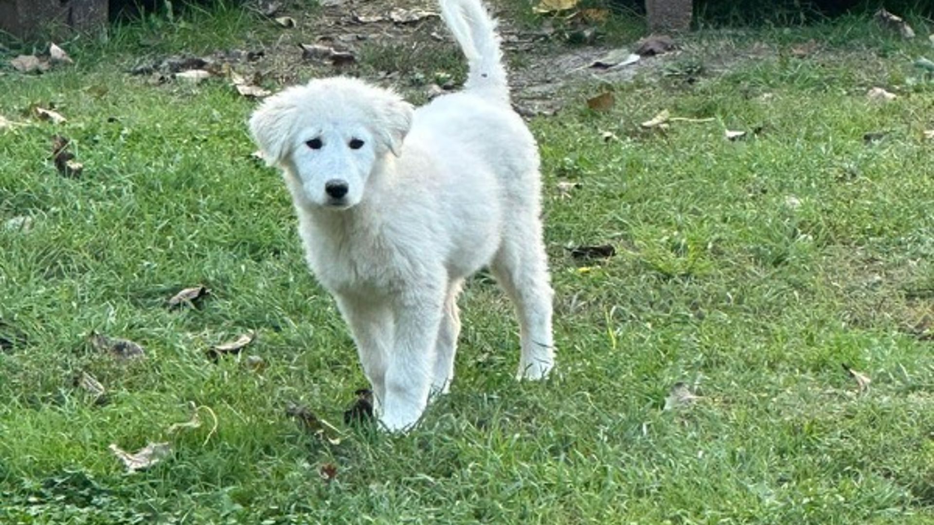 [Translate to English:] 