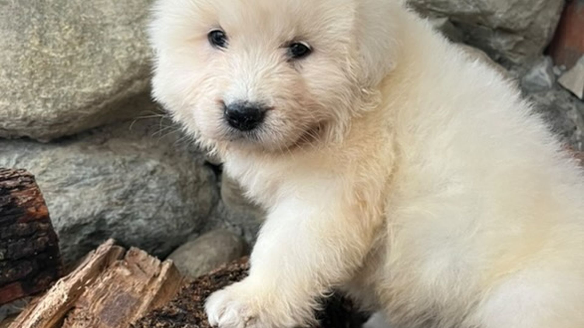 [Translate to English:] 