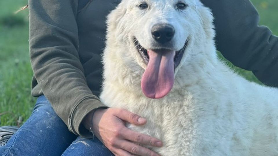 [Translate to English:] 