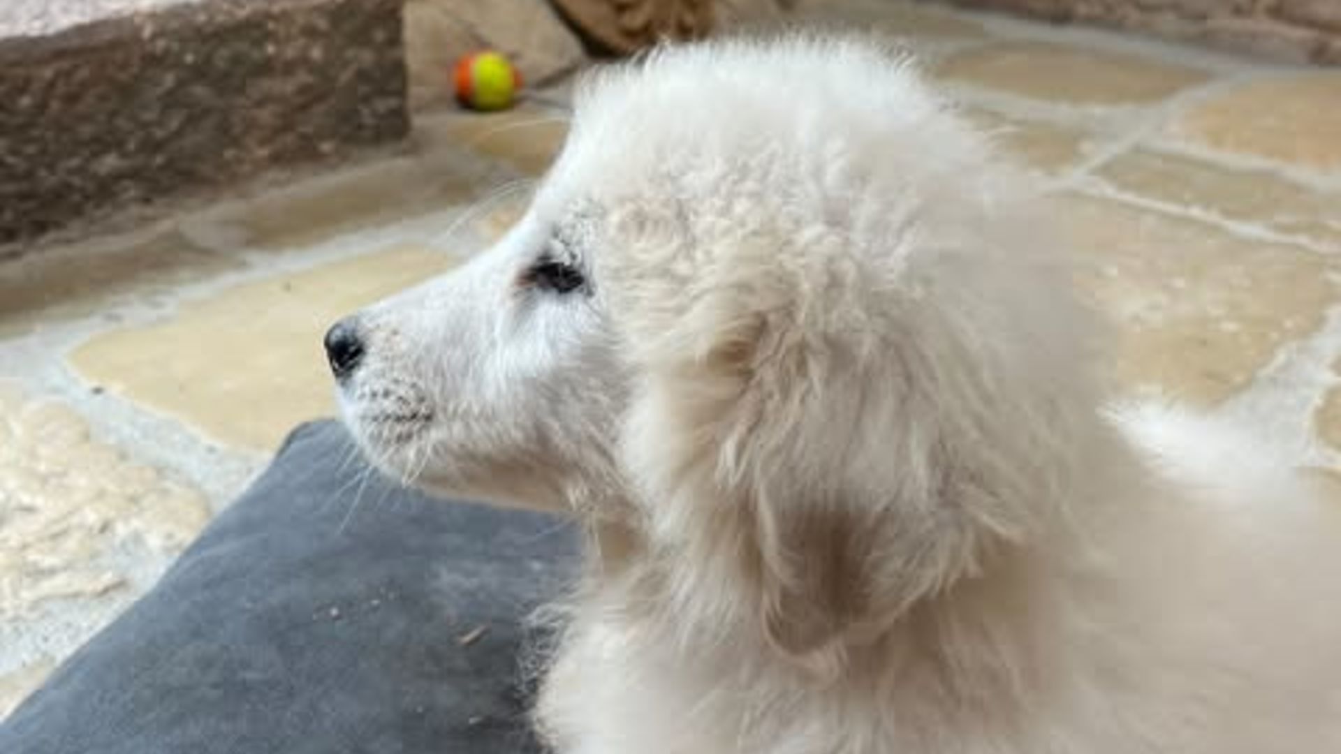 [Translate to English:] 