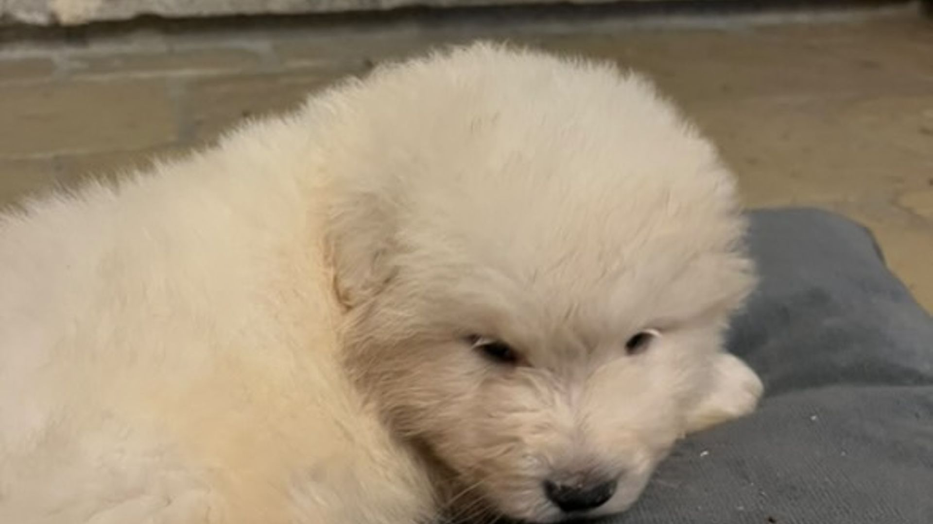 [Translate to English:] 