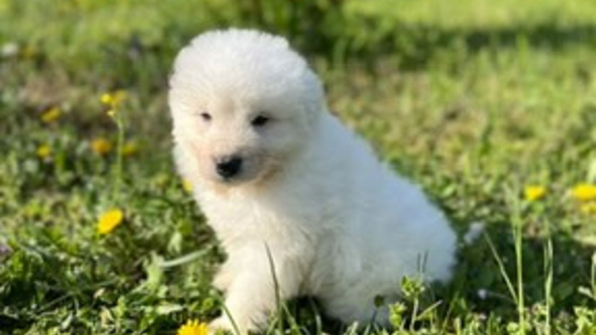 [Translate to English:] 