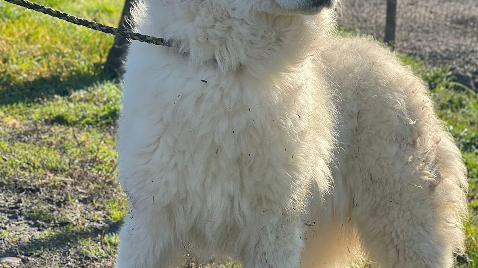 [Translate to English:] 