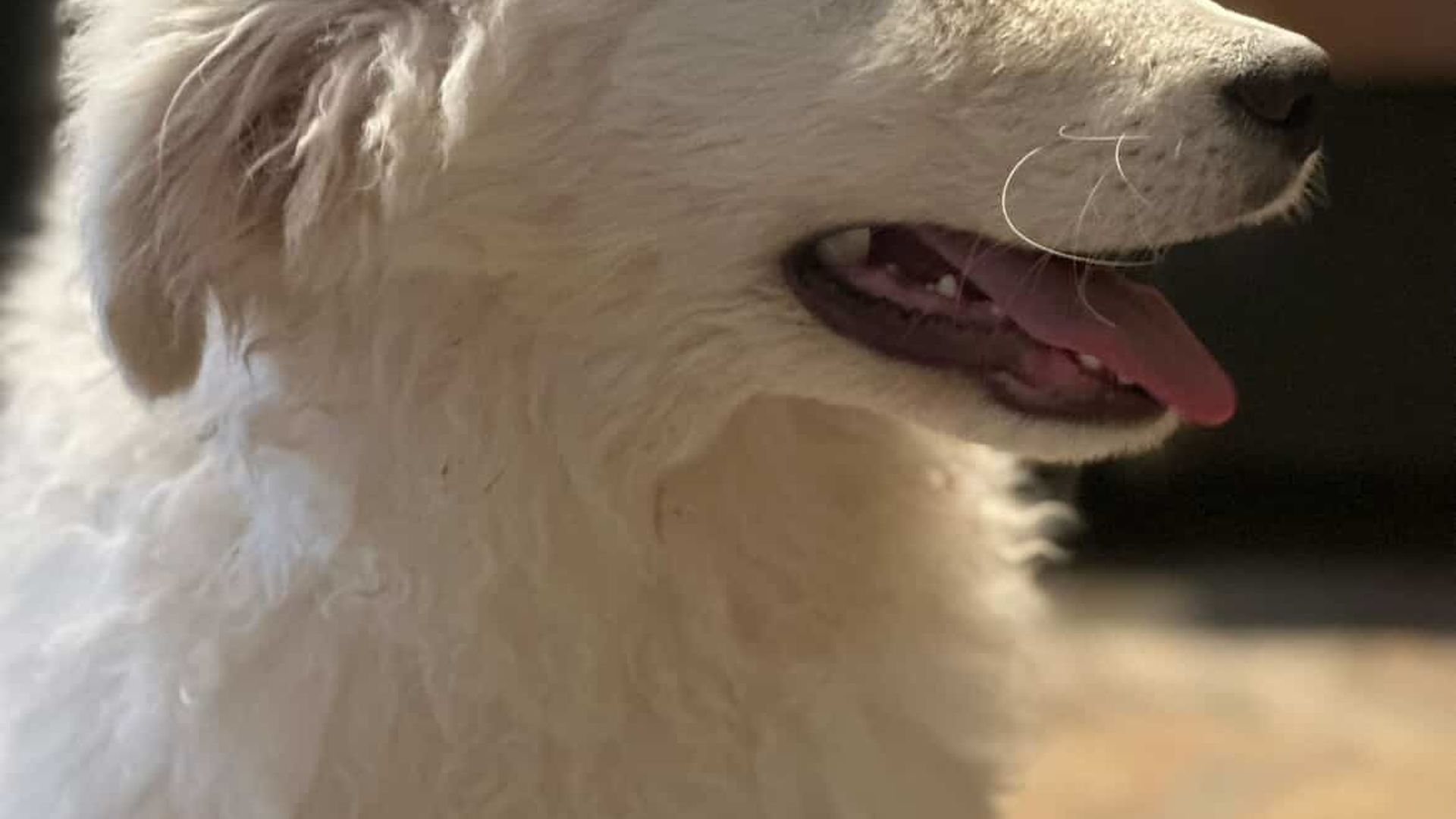 [Translate to English:] 