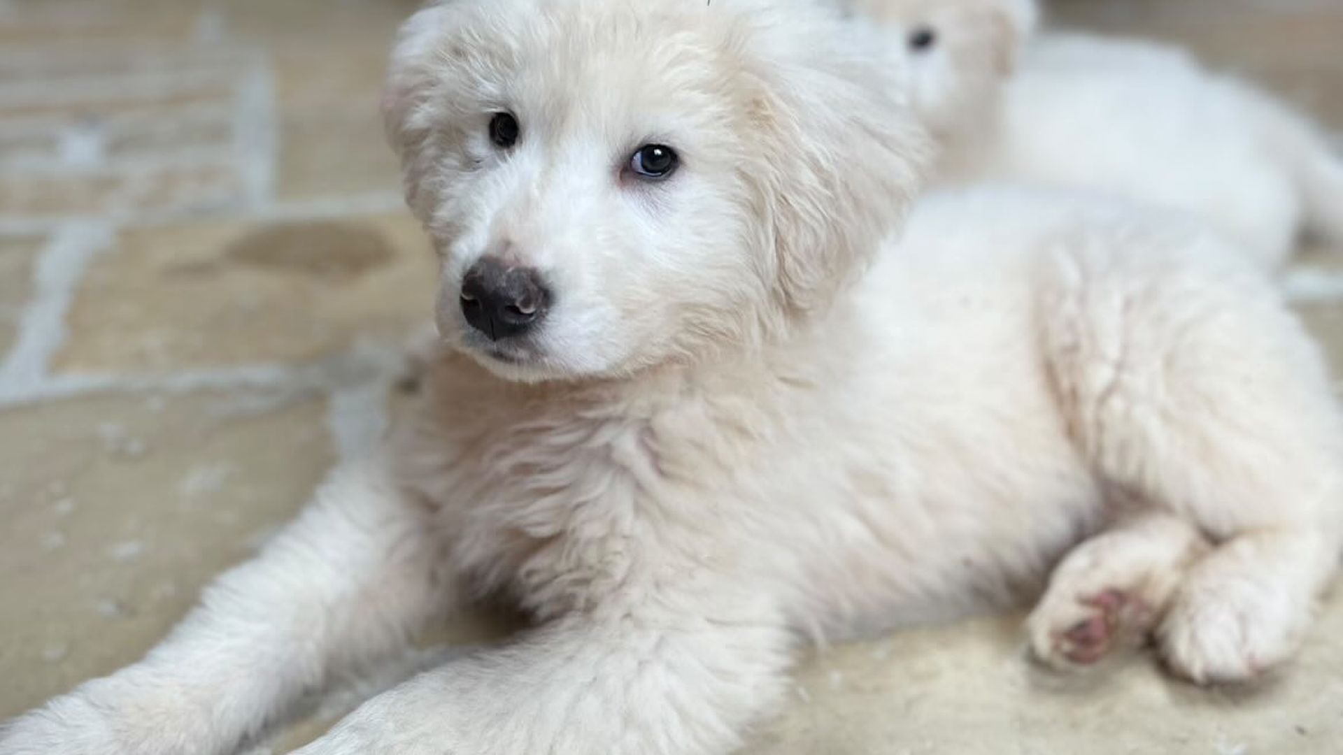 [Translate to English:] 