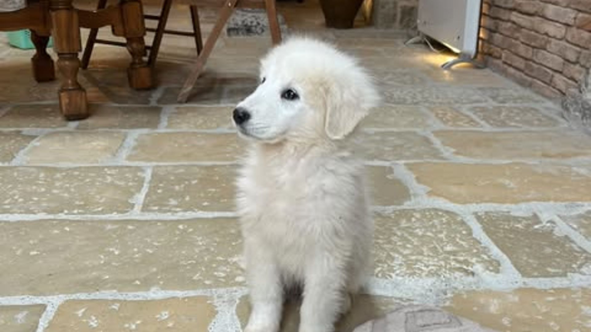 [Translate to English:] 