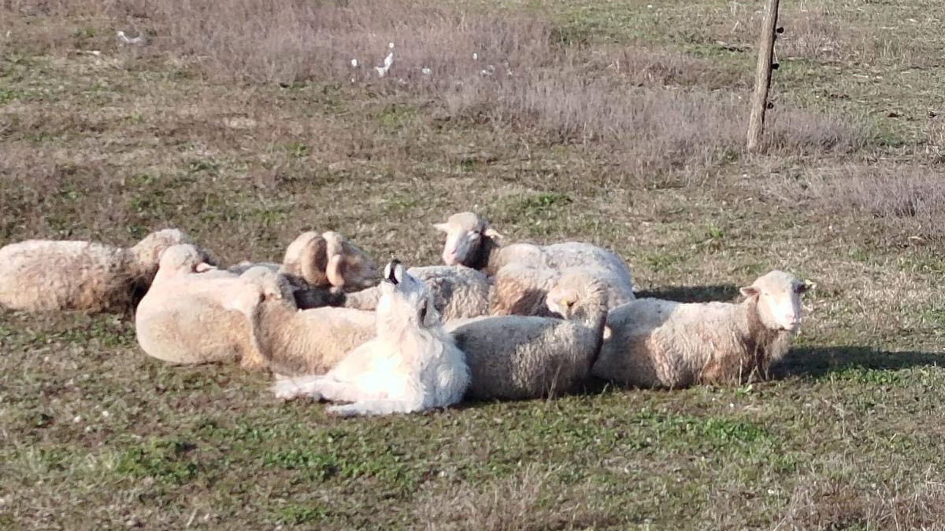 [Translate to English:] 