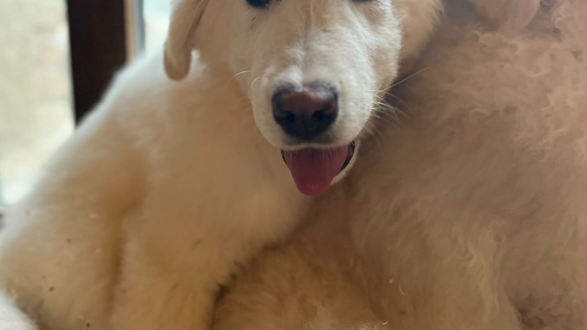 [Translate to English:] 