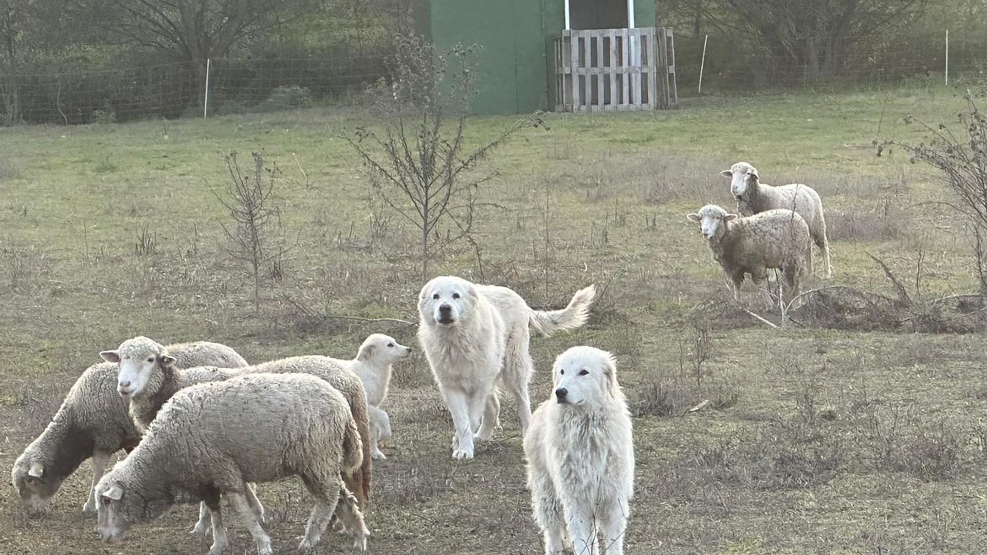 [Translate to English:] 