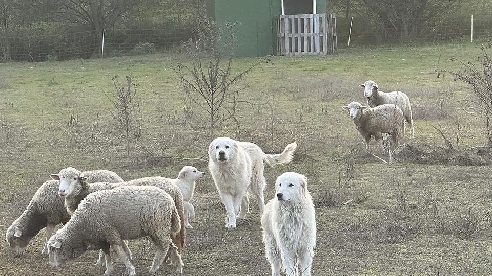 [Translate to English:] 