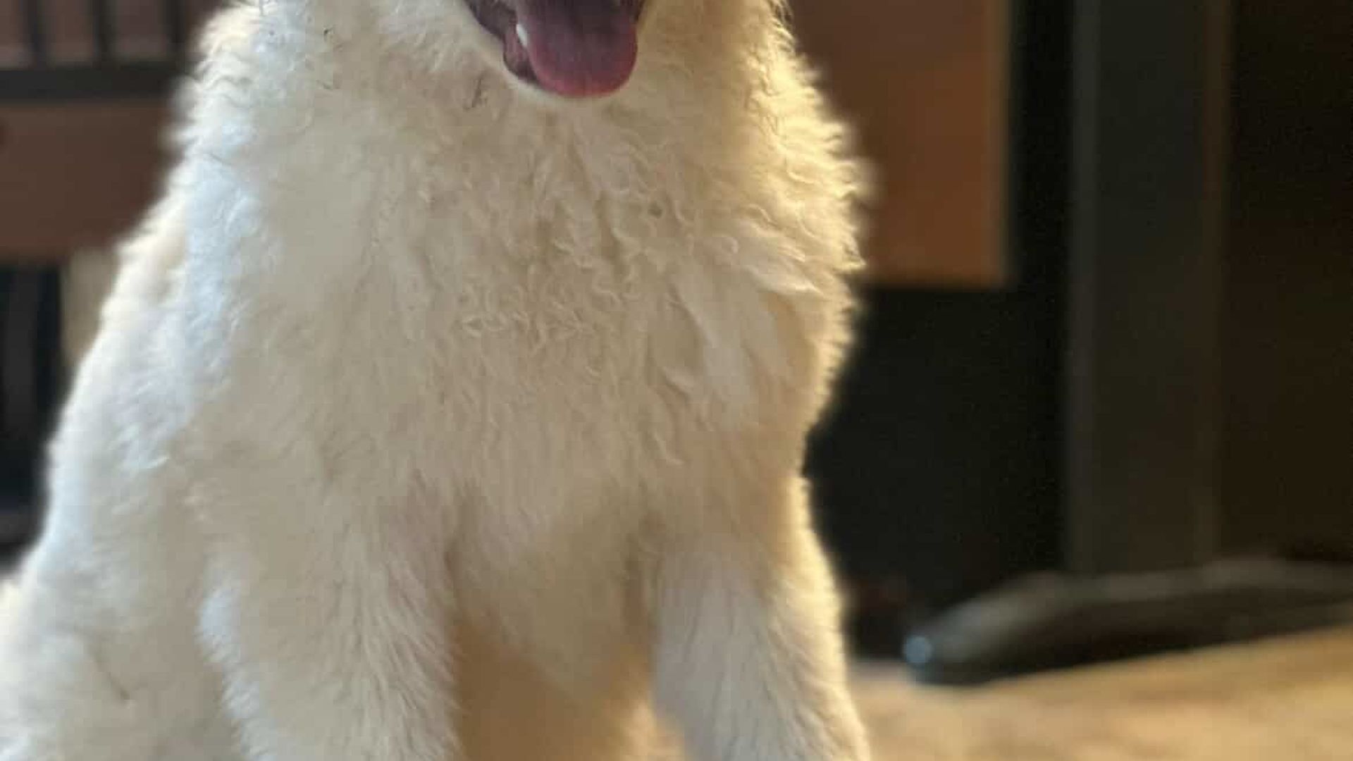 [Translate to English:] 