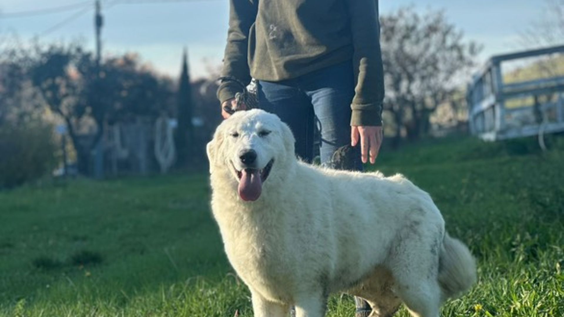 [Translate to English:] 