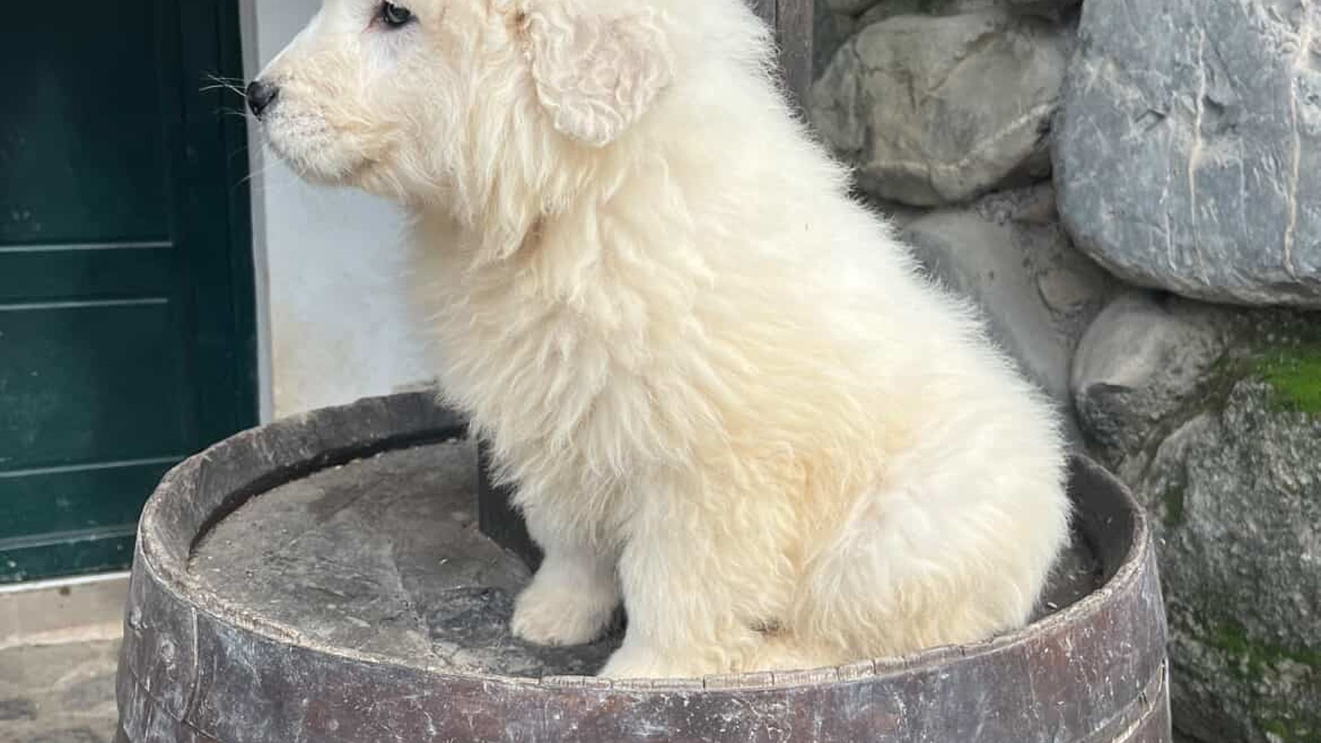 [Translate to English:] 