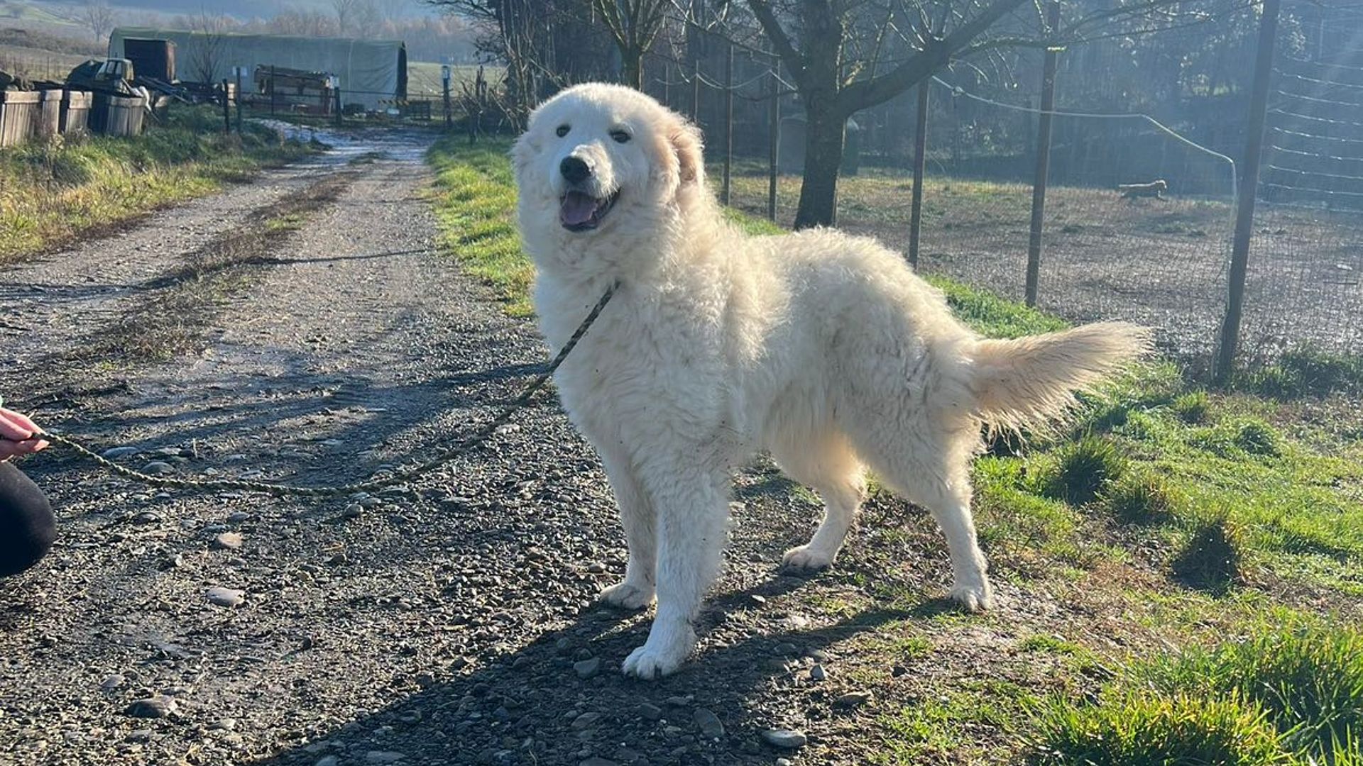 [Translate to English:] 