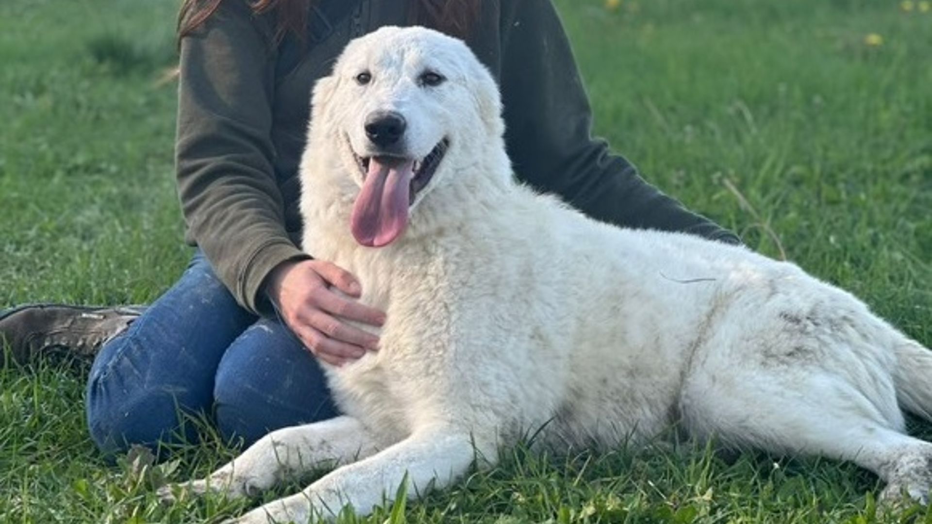 [Translate to English:] 