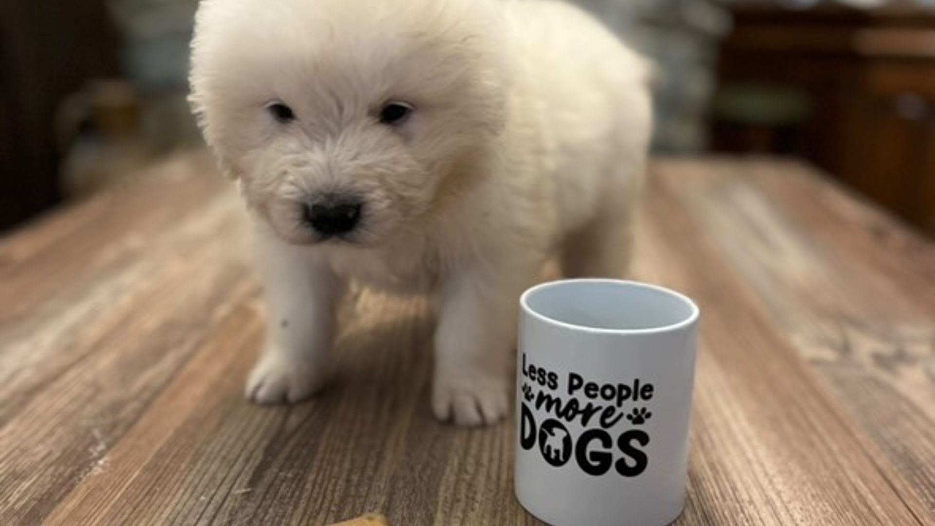 [Translate to English:] 