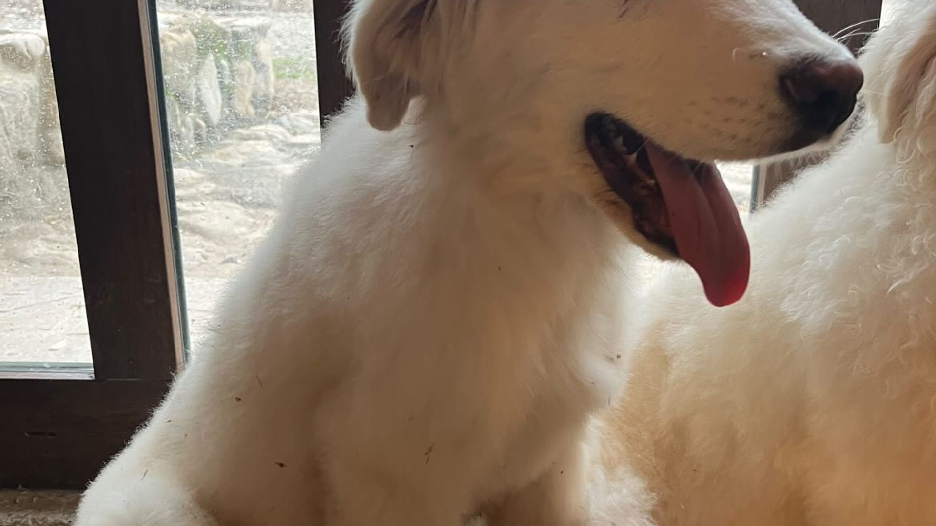 [Translate to English:] 