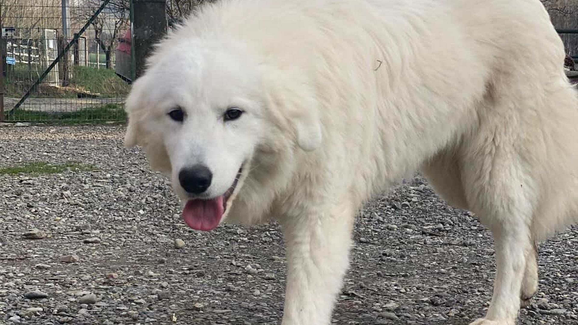 [Translate to English:] 