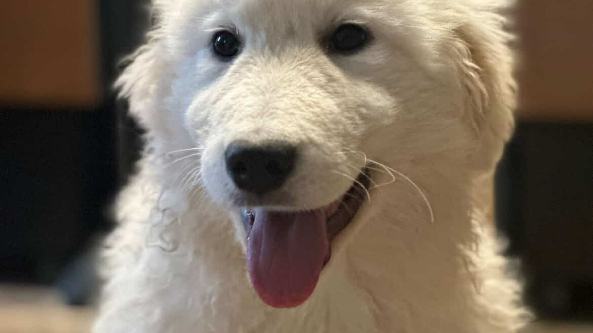 [Translate to English:] 