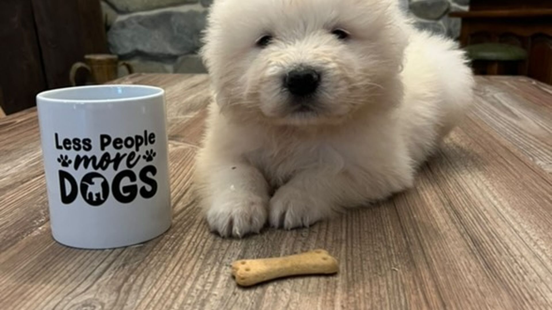 [Translate to English:] 