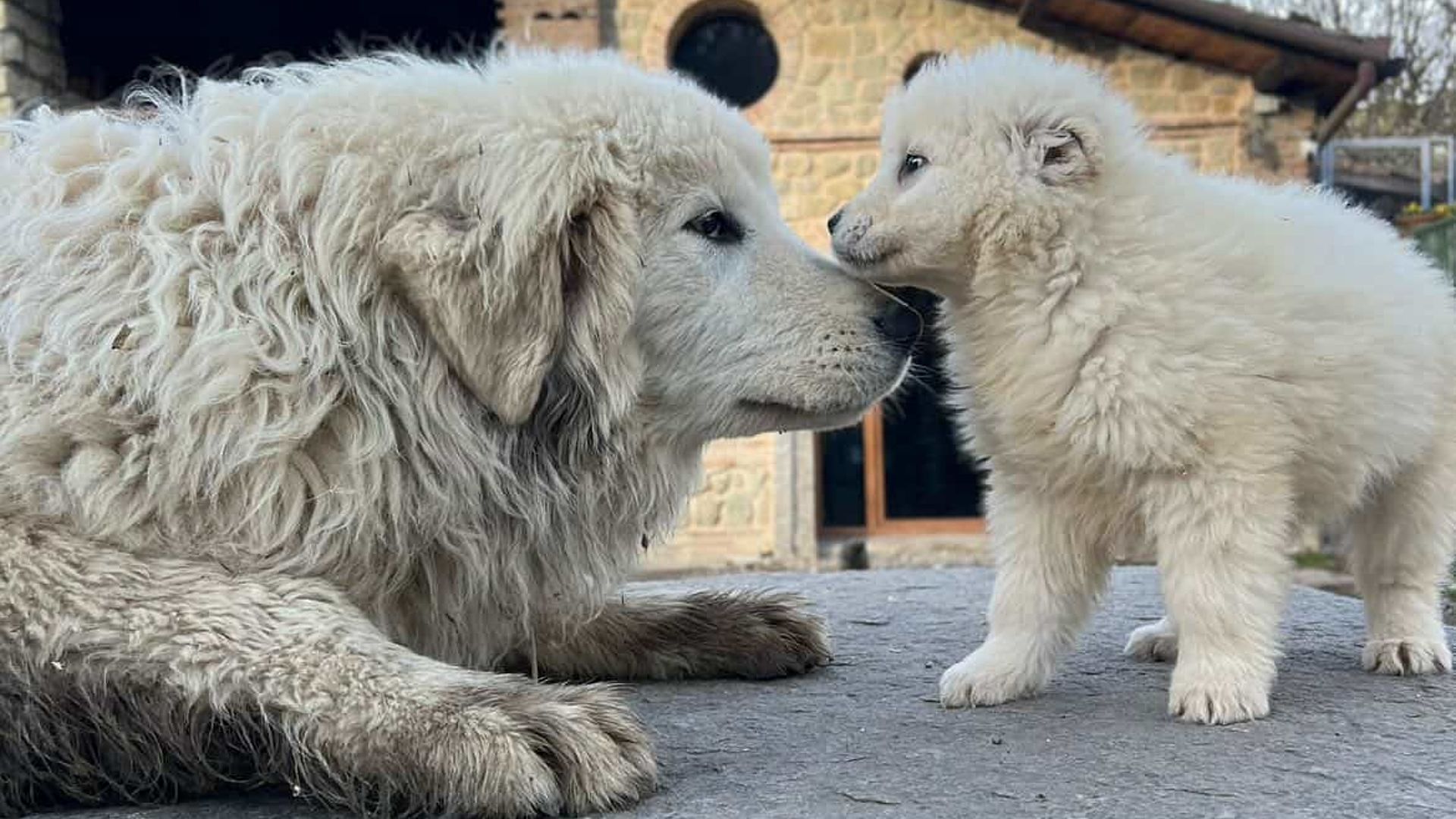 [Translate to English:] 