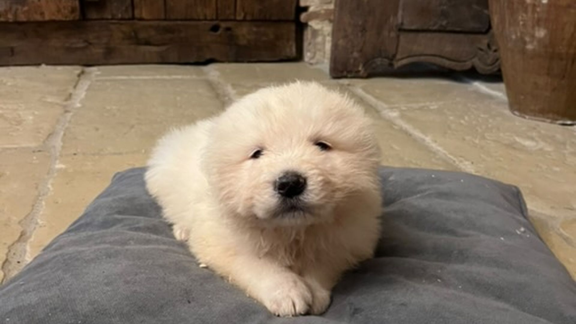 [Translate to English:] 