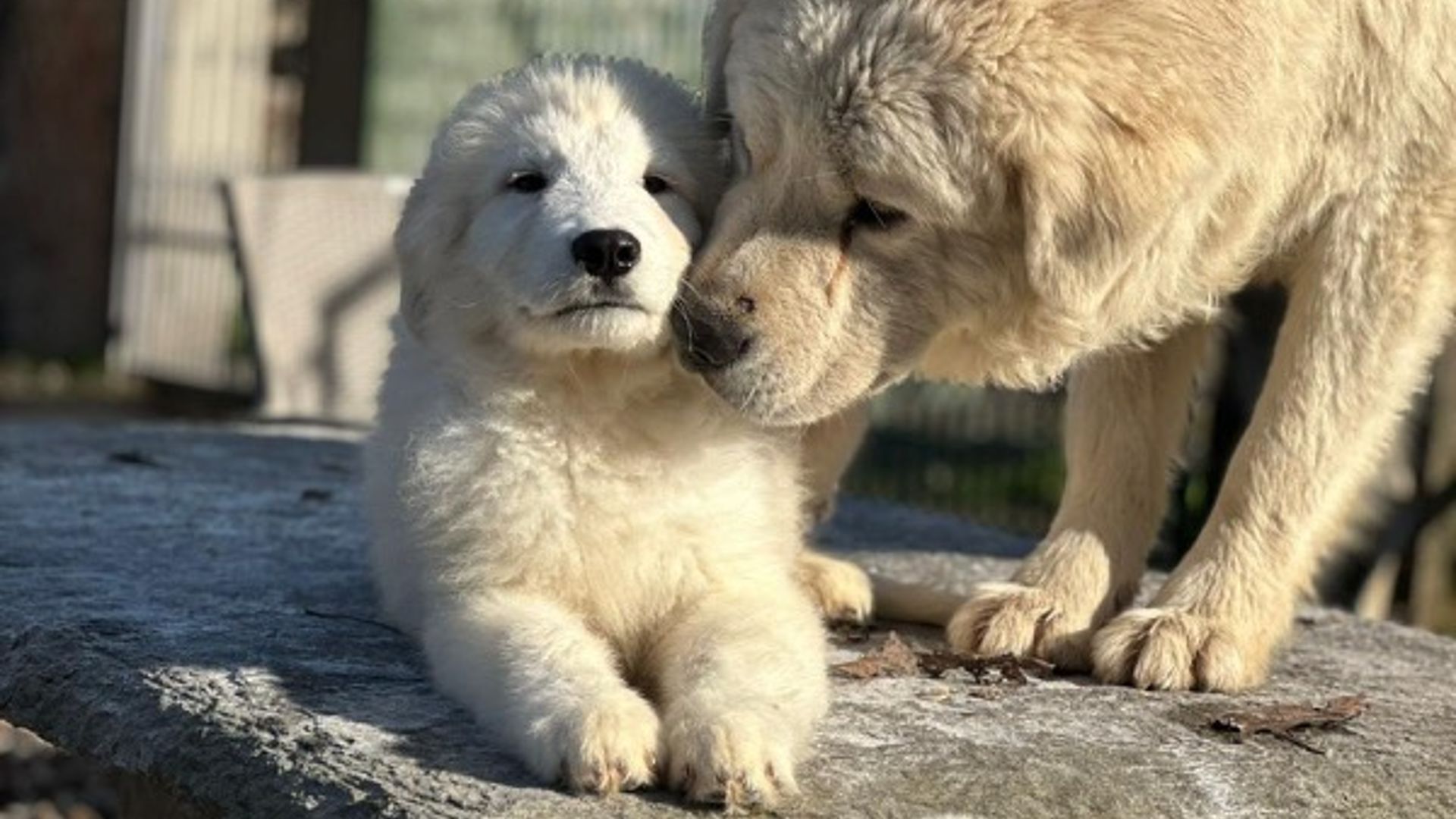 [Translate to English:] 