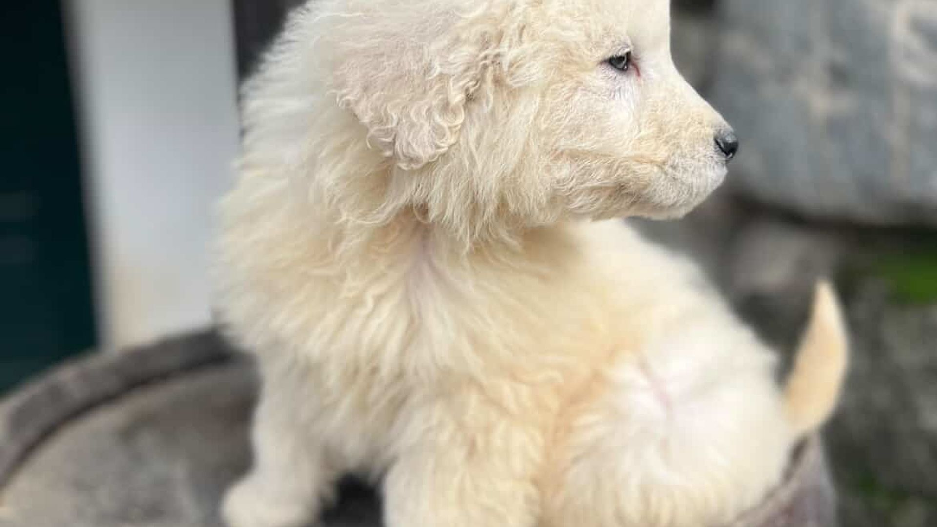 [Translate to English:] 