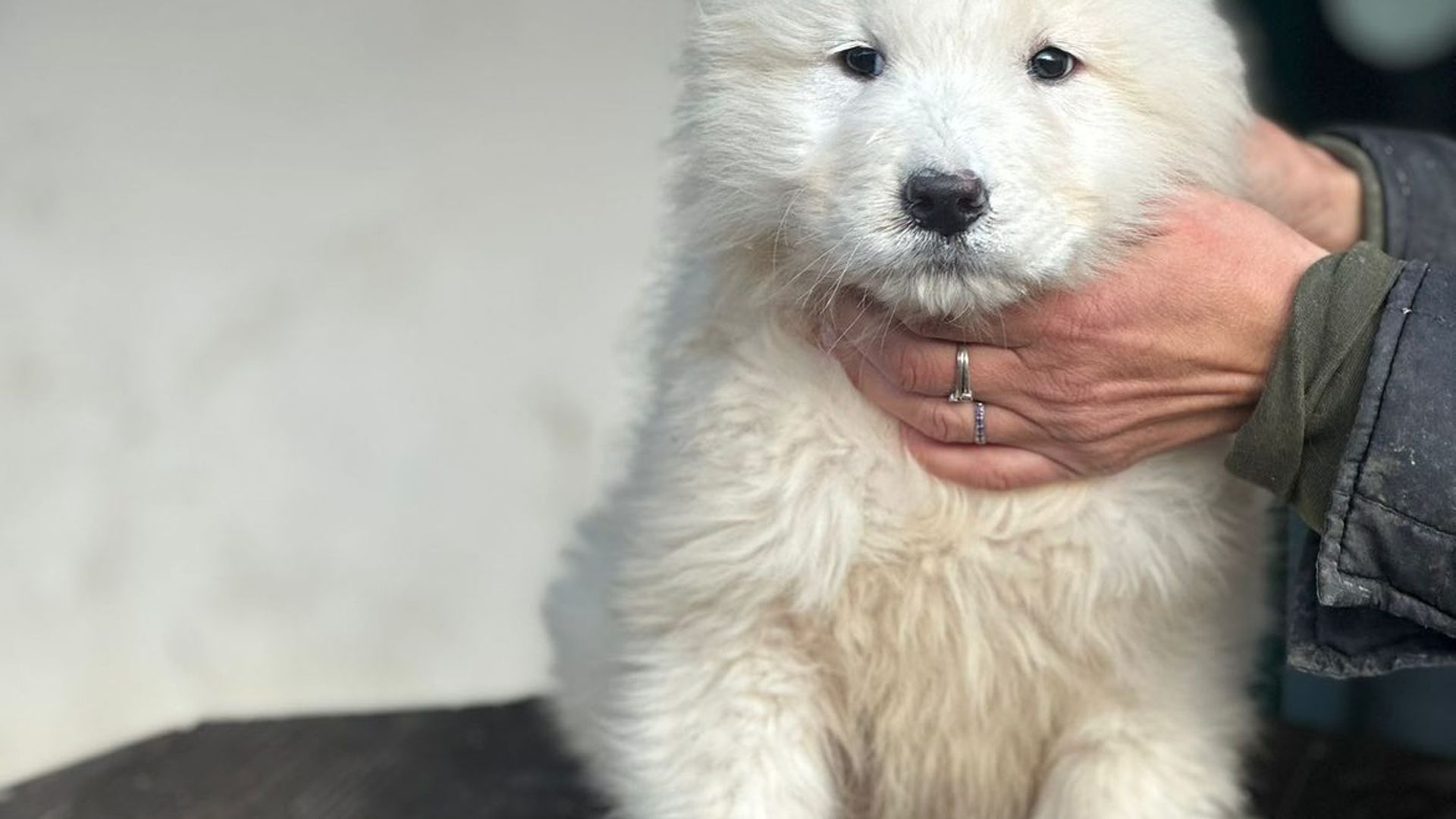 [Translate to English:] 